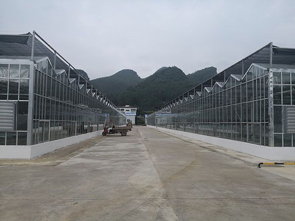 玻璃溫室